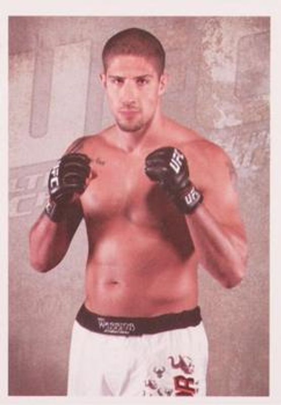 2011 Panini UFC Stickers Brazil #2 Base