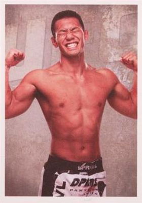 2011 Panini UFC Stickers Brazil #20 Base