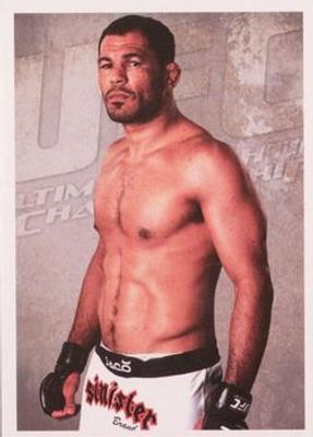 2011 Panini UFC Stickers Brazil #13 Base