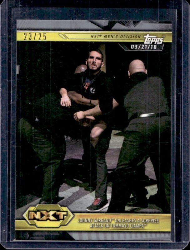2019 Topps WWE NXT #10 Silver /25