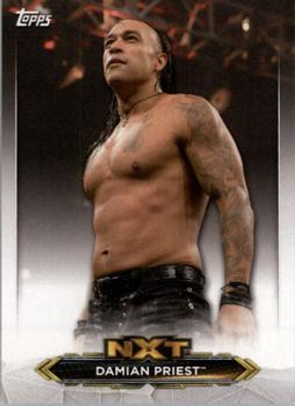 2020 Topps WWE NXT #NXT-13 NXT Roster