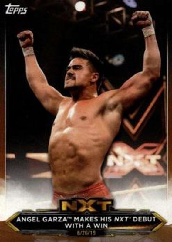 2020 Topps WWE NXT #3 Bronze