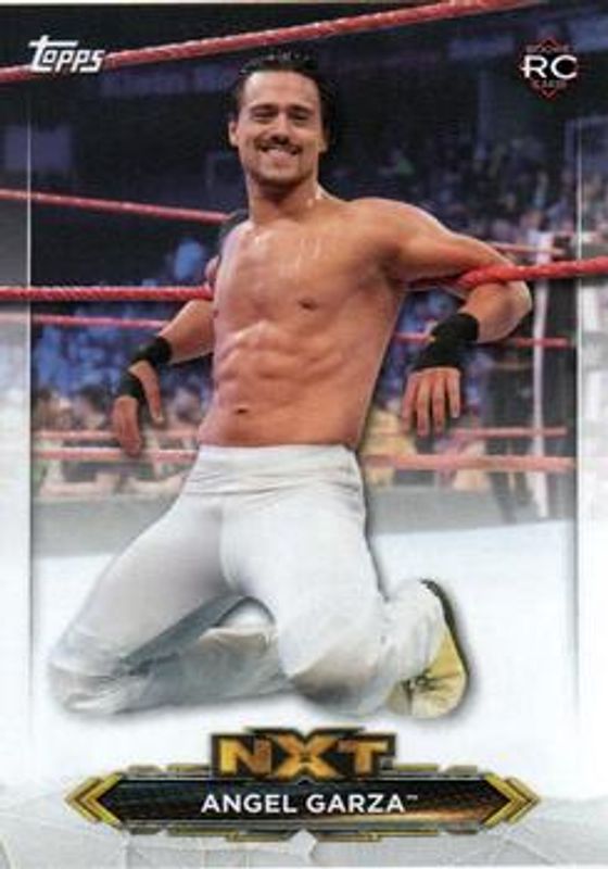 2020 Topps WWE NXT #NXT-3 NXT Roster