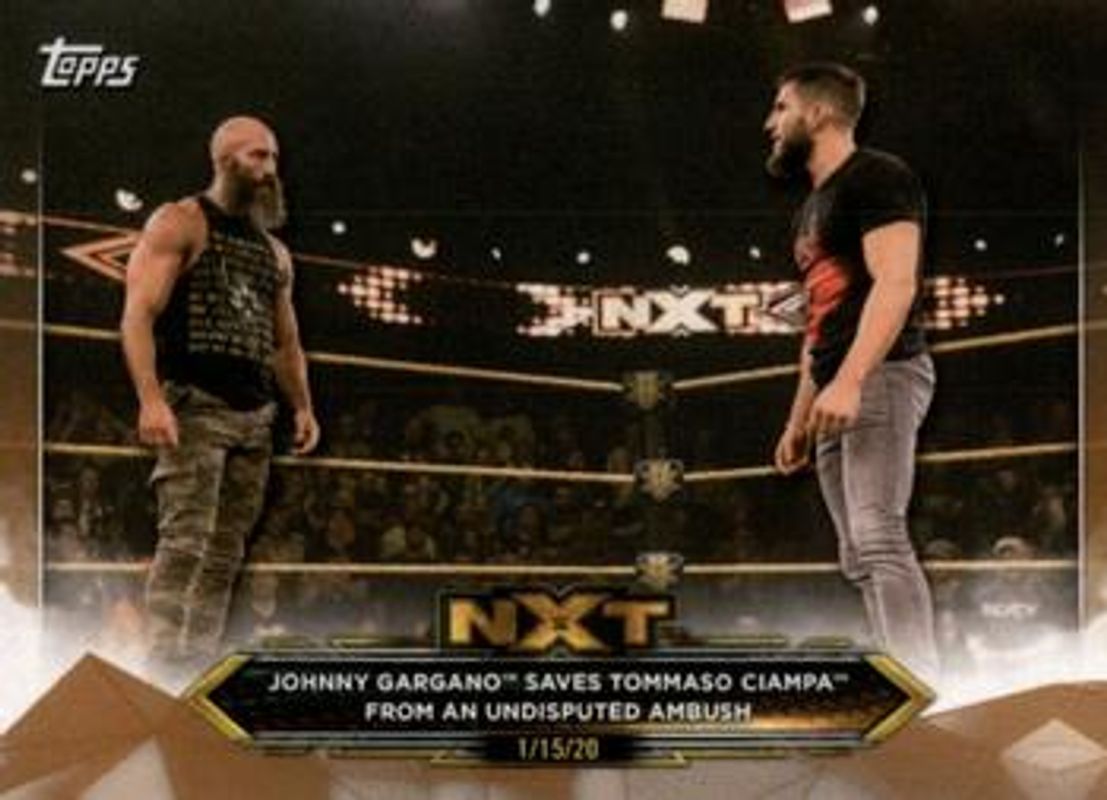 2020 Topps WWE NXT #87 Bronze