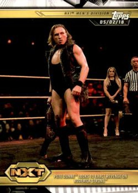 2019 Topps WWE NXT #22 Base