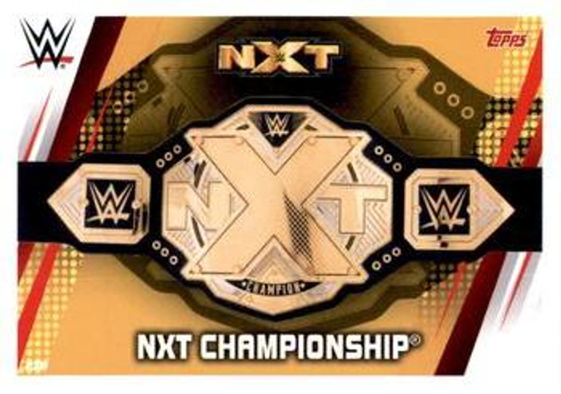 2019 Topps Slam Attax Universe WWE #238 Base