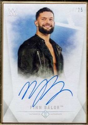 2019 Topps WWE Transcendent #A-FB Base /25
