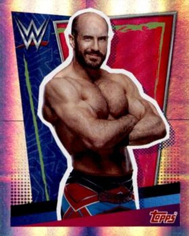 2021 Topps WWE Road to WrestleMania Stickers #219 Base