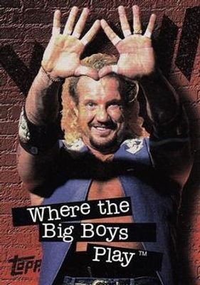 1998 Topps WCW/nWo #P4 Promos