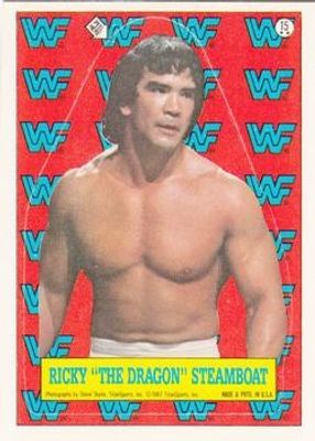 1987 Topps WWF #15 Stickers