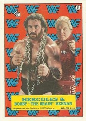 1987 Topps WWF #6 Stickers