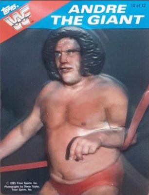 1985 Topps WWF 3-D #10 Base