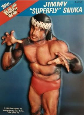 1985 Topps WWF 3-D #3 Base