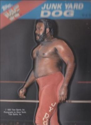 1985 Topps WWF 3-D #12 Base