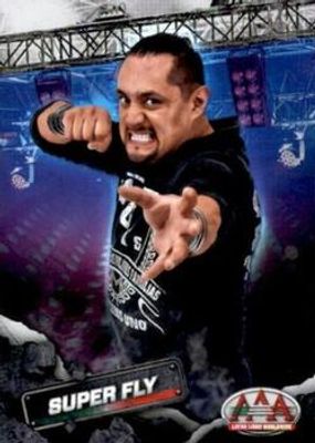 2019 Panini AAA Lucha Libre Worldwide #43 Base