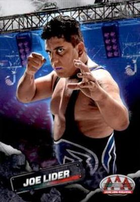 2019 Panini AAA Lucha Libre Worldwide #18 Base