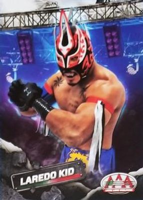 2019 Panini AAA Lucha Libre Worldwide #25 Base