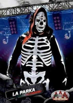 2019 Panini AAA Lucha Libre Worldwide #22 Base