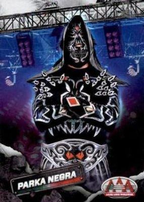 2019 Panini AAA Lucha Libre Worldwide #36 Base