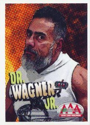 2019 Panini AAA Triplemania XXVII Album Stickers #026 Base