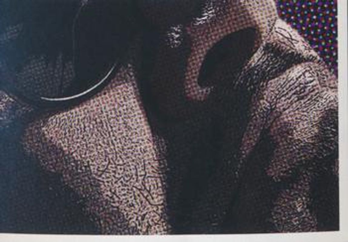 2019 Panini AAA Triplemania XXVII Album Stickers #136 Base