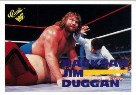 1990 Classic WWF #65 Base