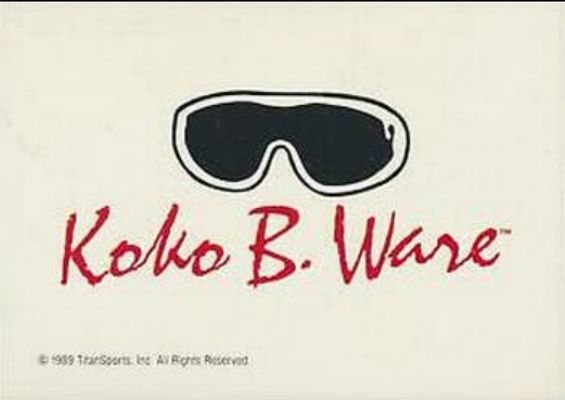 1990 Classic WWF #144b Base