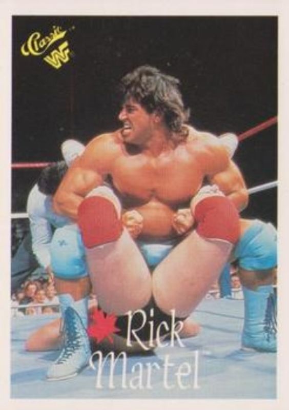 1990 Classic WWF #20 Base