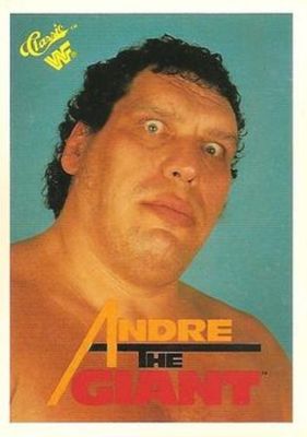1989 Classic WWF #66 Base