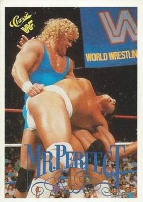 1989 Classic WWF #74 Base