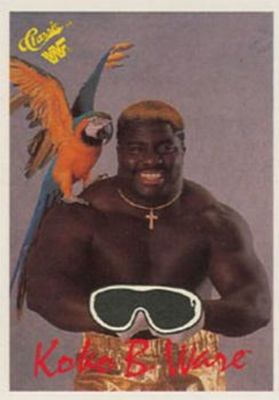 1989 Classic WWF #119 Base