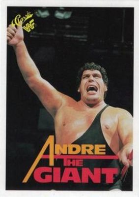 1989 Classic WWF #10 Base