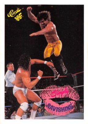 1989 Classic WWF #59 Base
