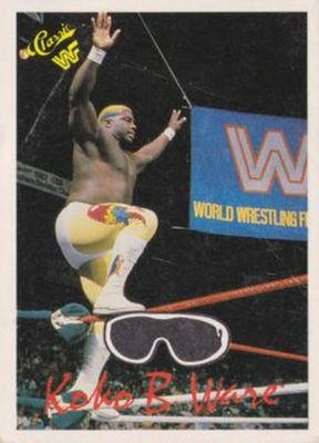 1989 Classic WWF #82 Base