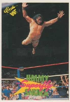 1989 Classic WWF #131 Base