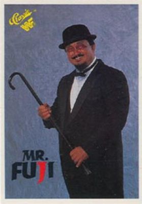 1989 Classic WWF #22 Base