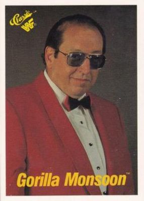 1989 Classic WWF #52 Base