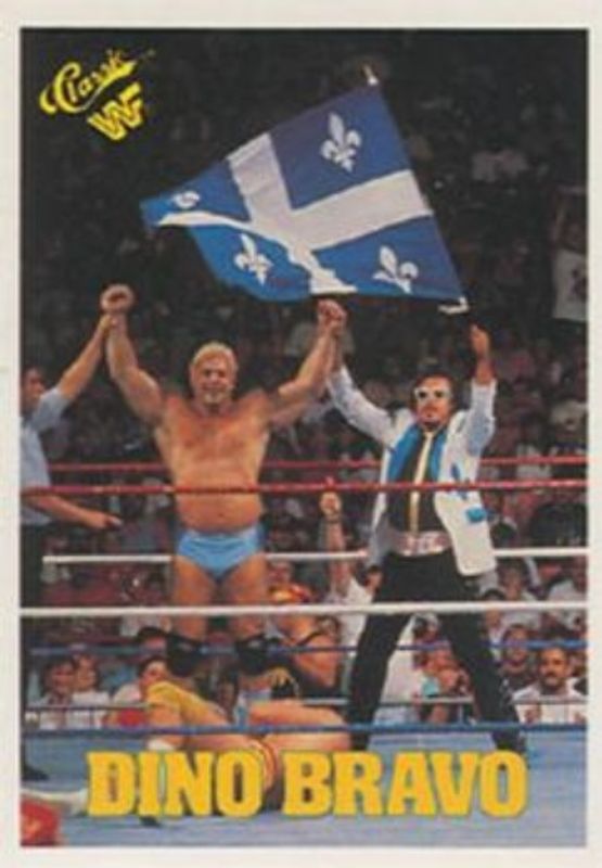 1989 Classic WWF #31 Base