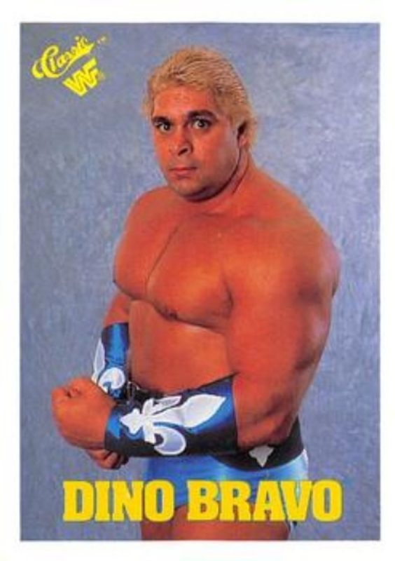 1989 Classic WWF #84 Base