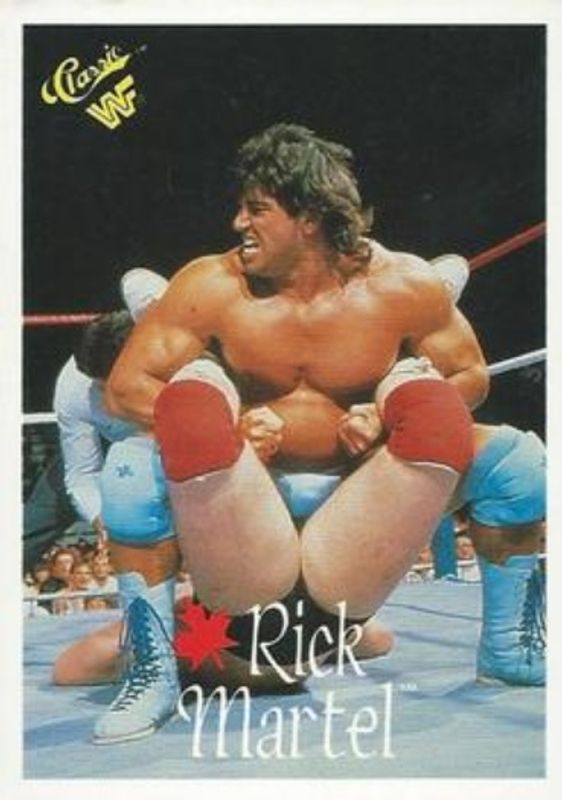 1989 Classic WWF #20 Base