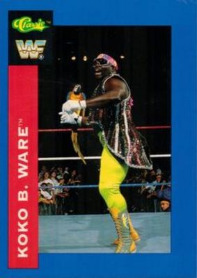 1991 Classic WWF #53 Base