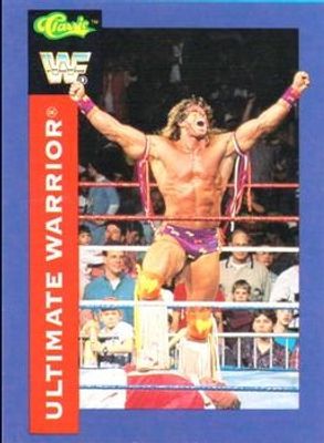 1991 Classic WWF #100 Base