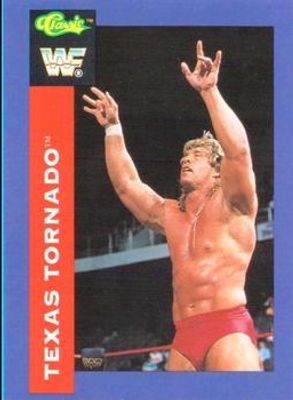 1991 Classic WWF #133 Base