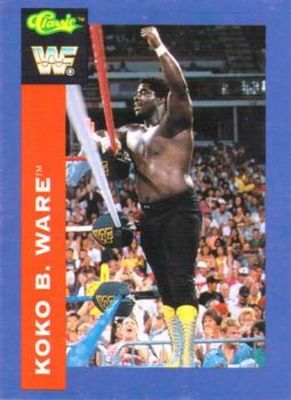 1991 Classic WWF #94 Base
