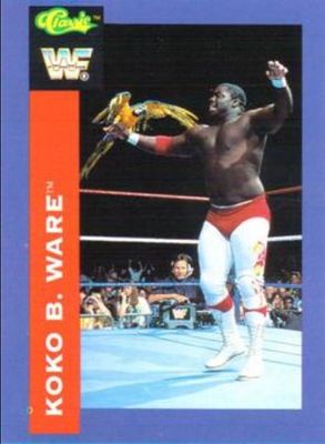1991 Classic WWF #17 Base