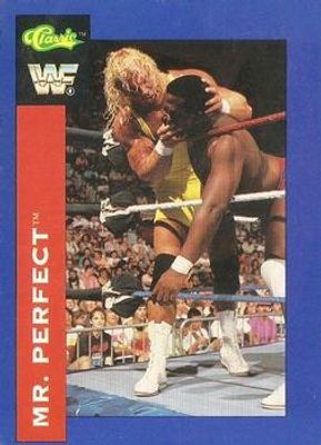 1991 Classic WWF #107 Base