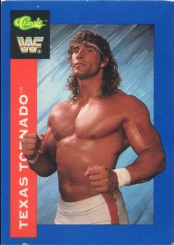 1991 Classic WWF #143 Base
