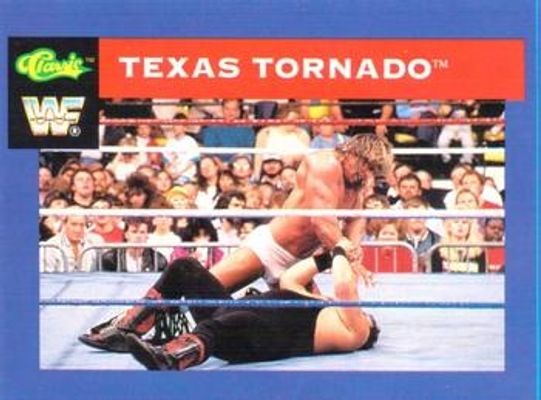 1991 Classic WWF #37 Base