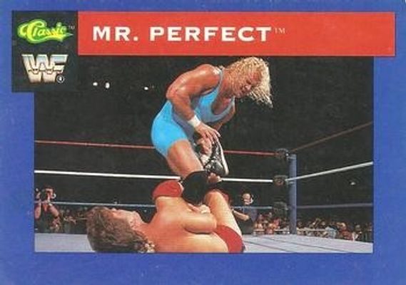 1991 Classic WWF #29 Base