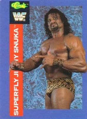 1991 Classic WWF #139 Base